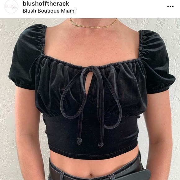 Blush Tops - Cropped Velvet Peasant Top
